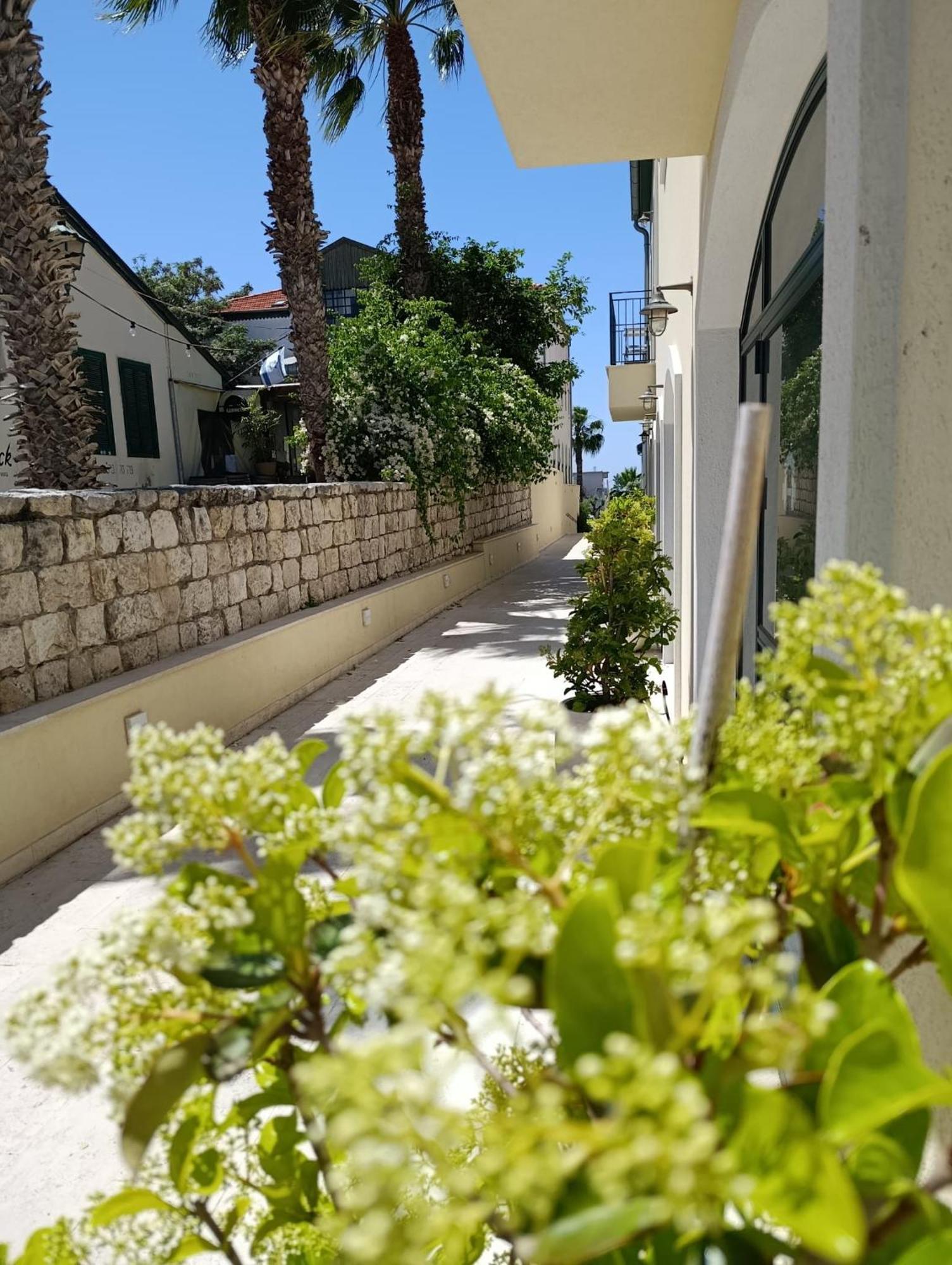 Vila 49 Boutique Zichron Ja'akov Pokoj fotografie