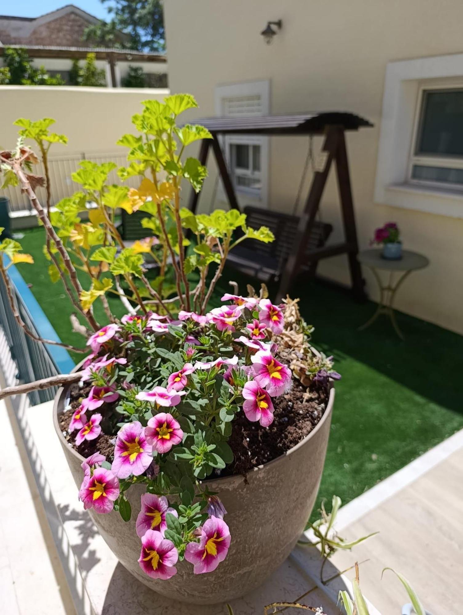 Vila 49 Boutique Zichron Ja'akov Pokoj fotografie